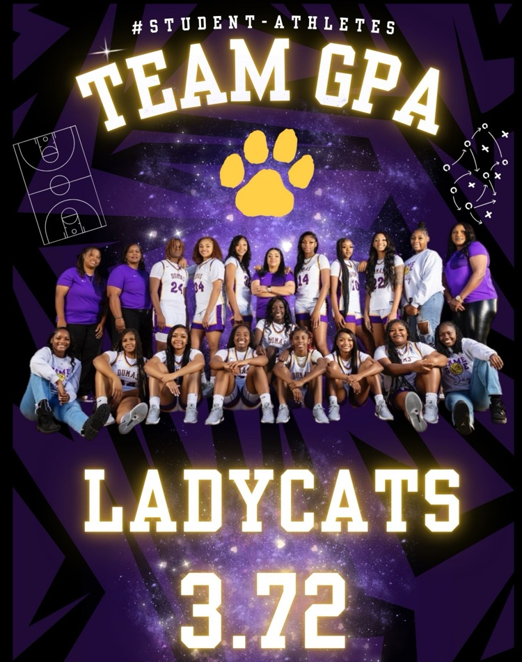 LadyCats 