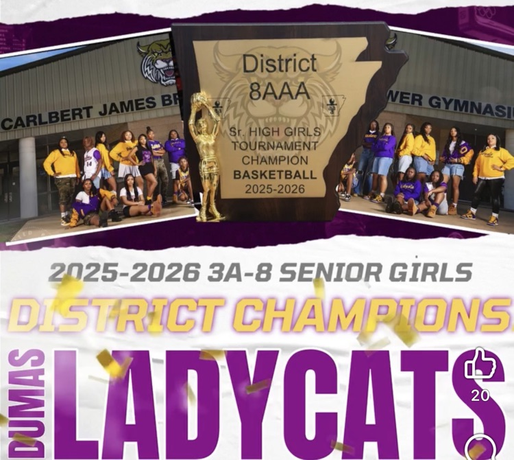 LadyCats