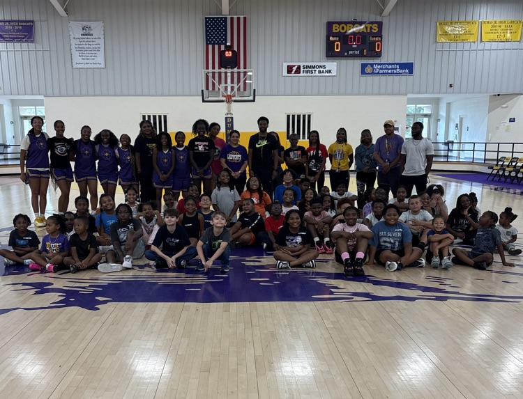LadyCats