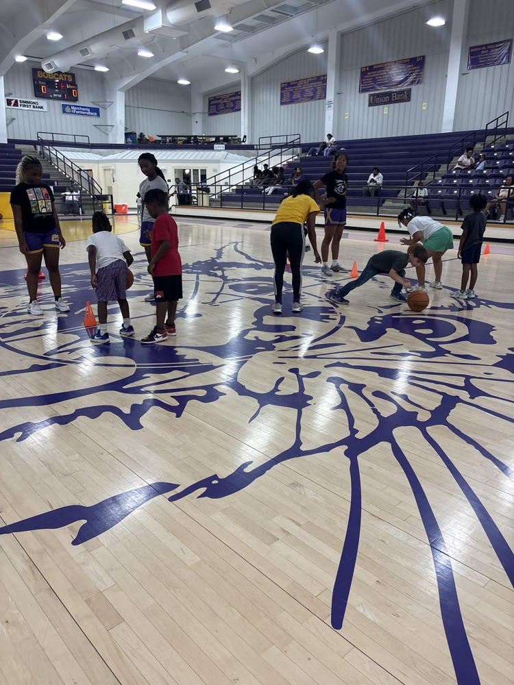 LadyCats