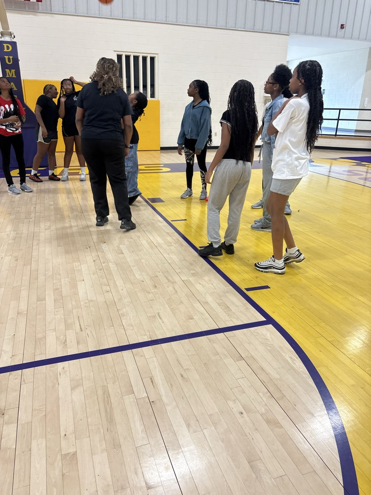 LadyCats
