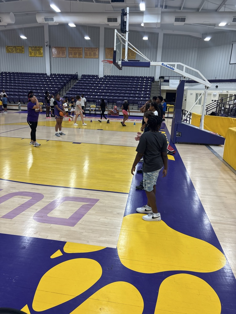LadyCats