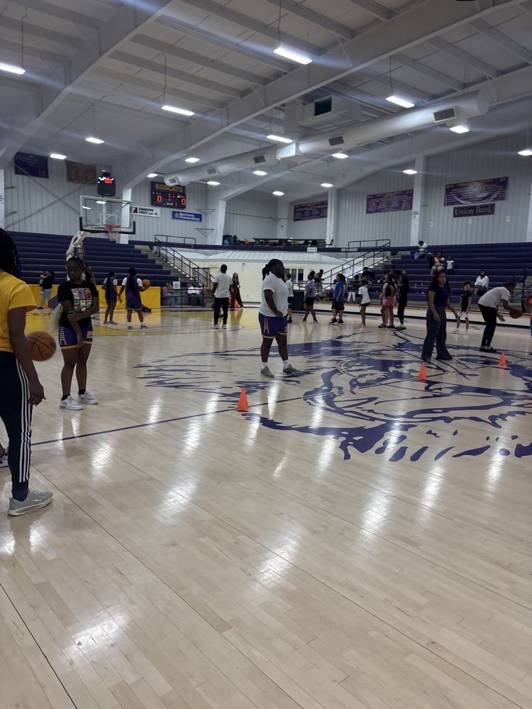 LadyCats