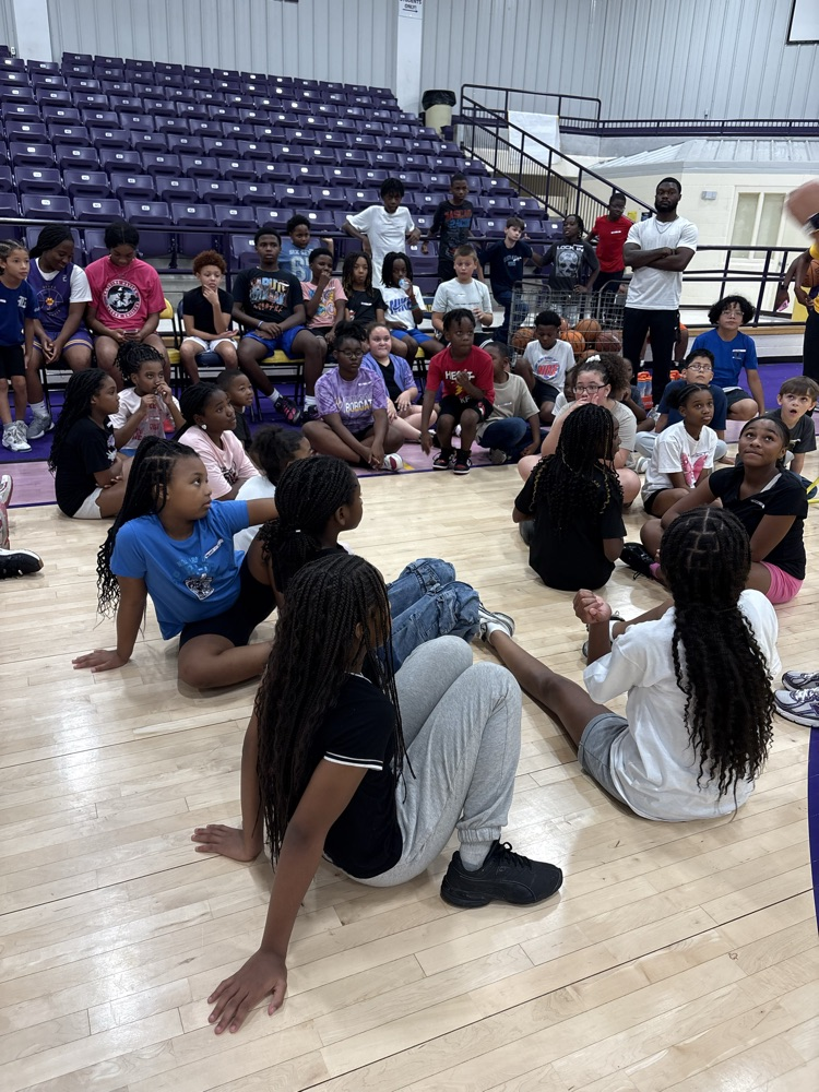 LadyCats