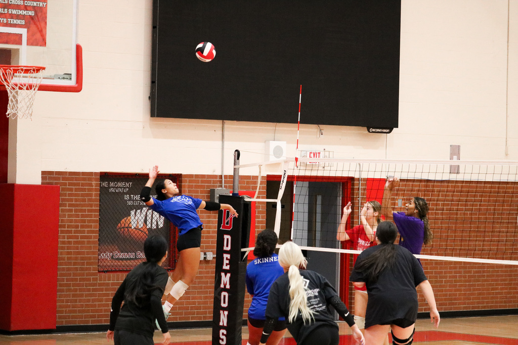 VOLLEYBALL