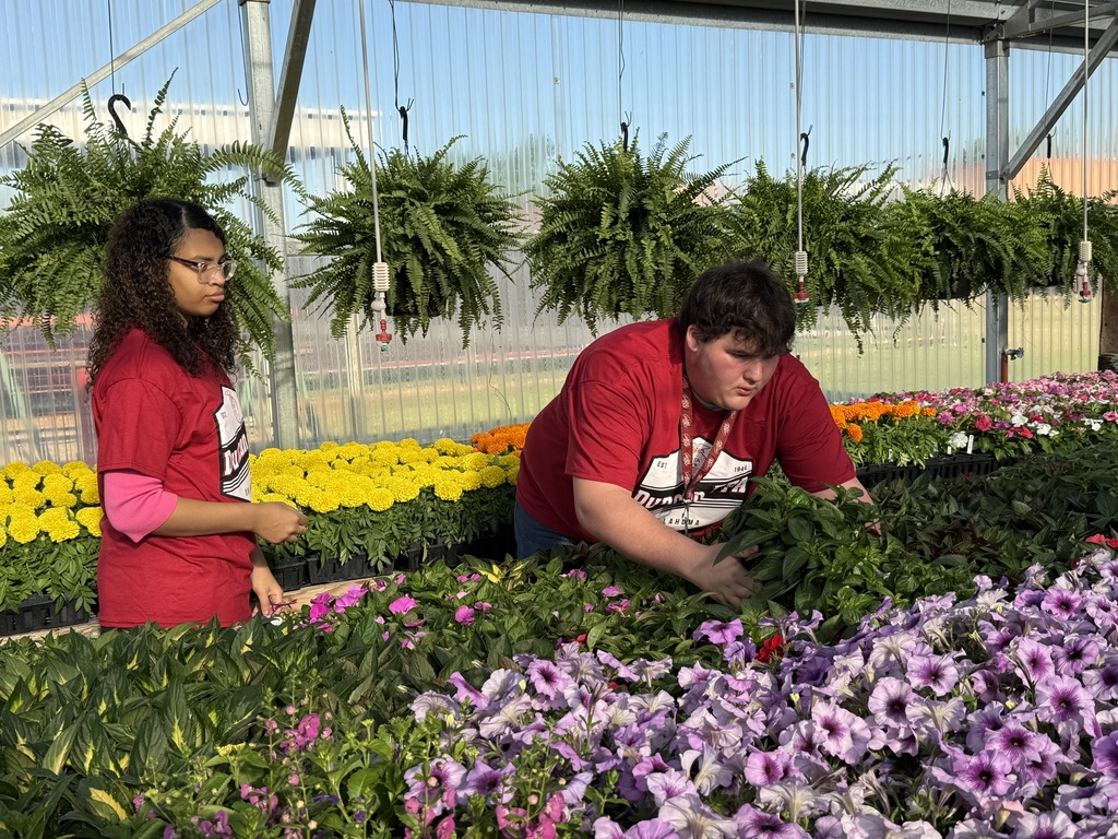 students working with plants 