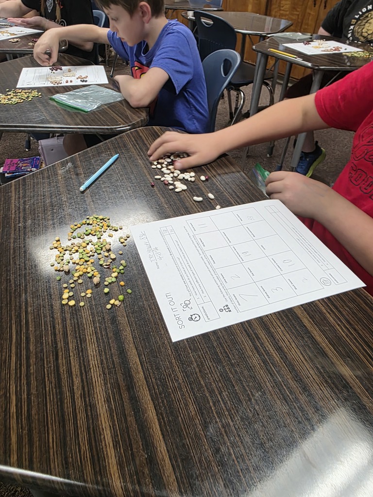 working on project with Mrs. T 