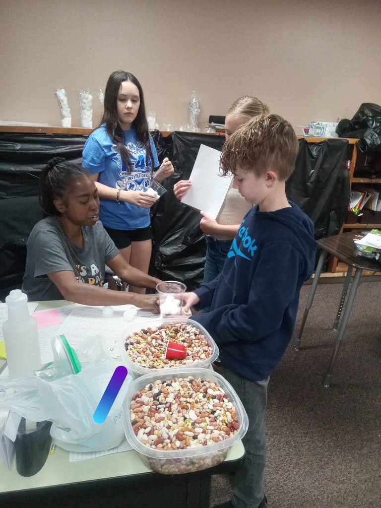 working on project with Mrs. T 