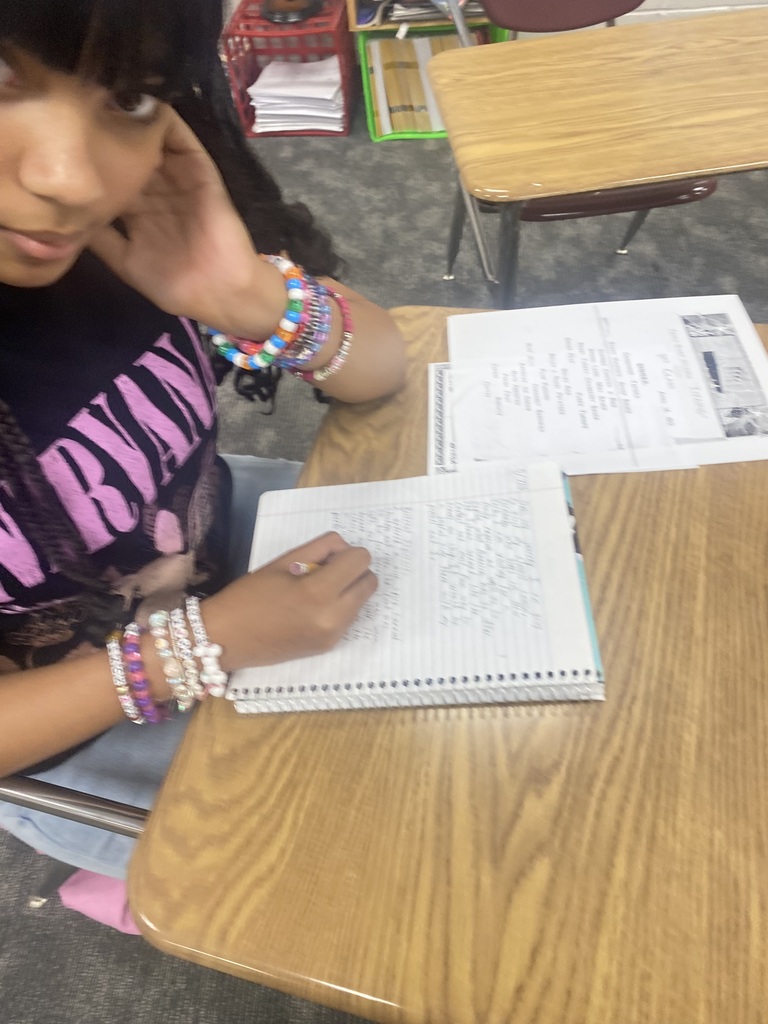 6th grade honors english project