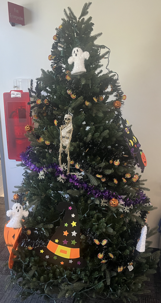 Our Tree is decorated!
