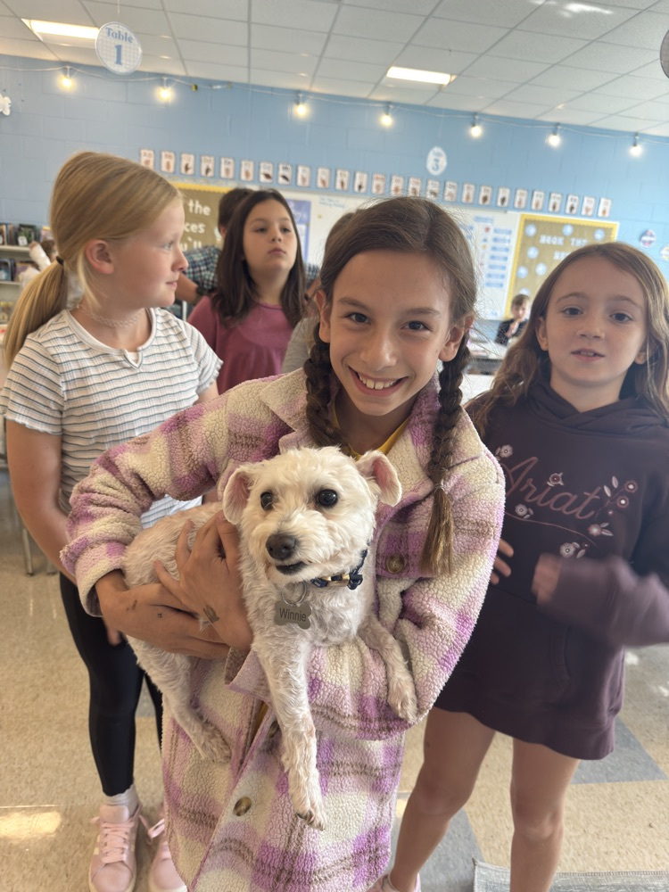 dog