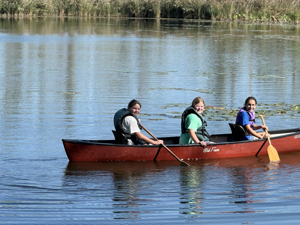 Students working together