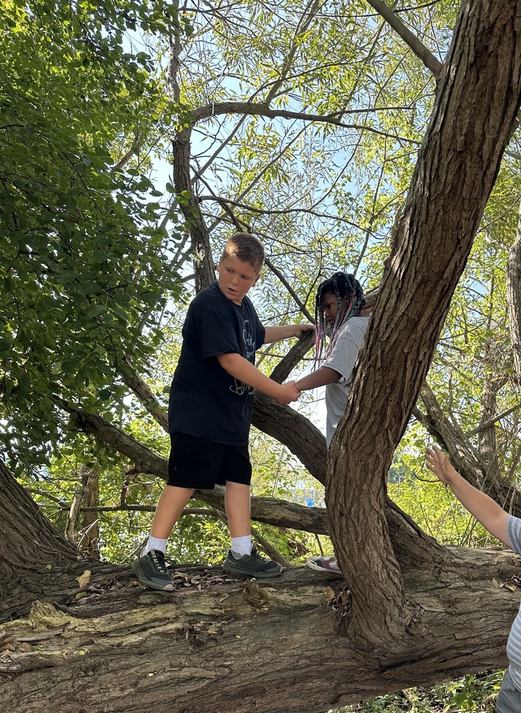 Students working together