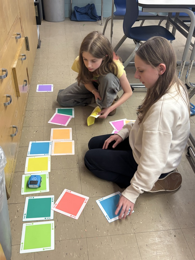 Each color makes the indi robot do a certain task.