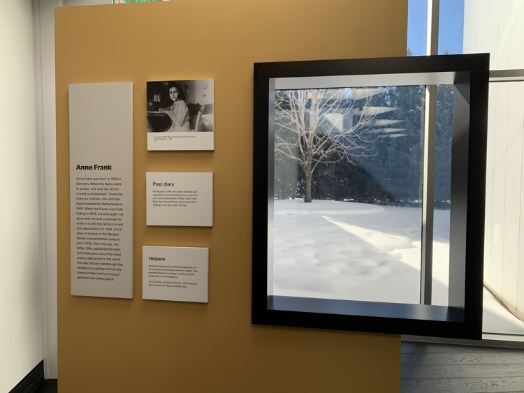 Tree from the window of Anne Frank.