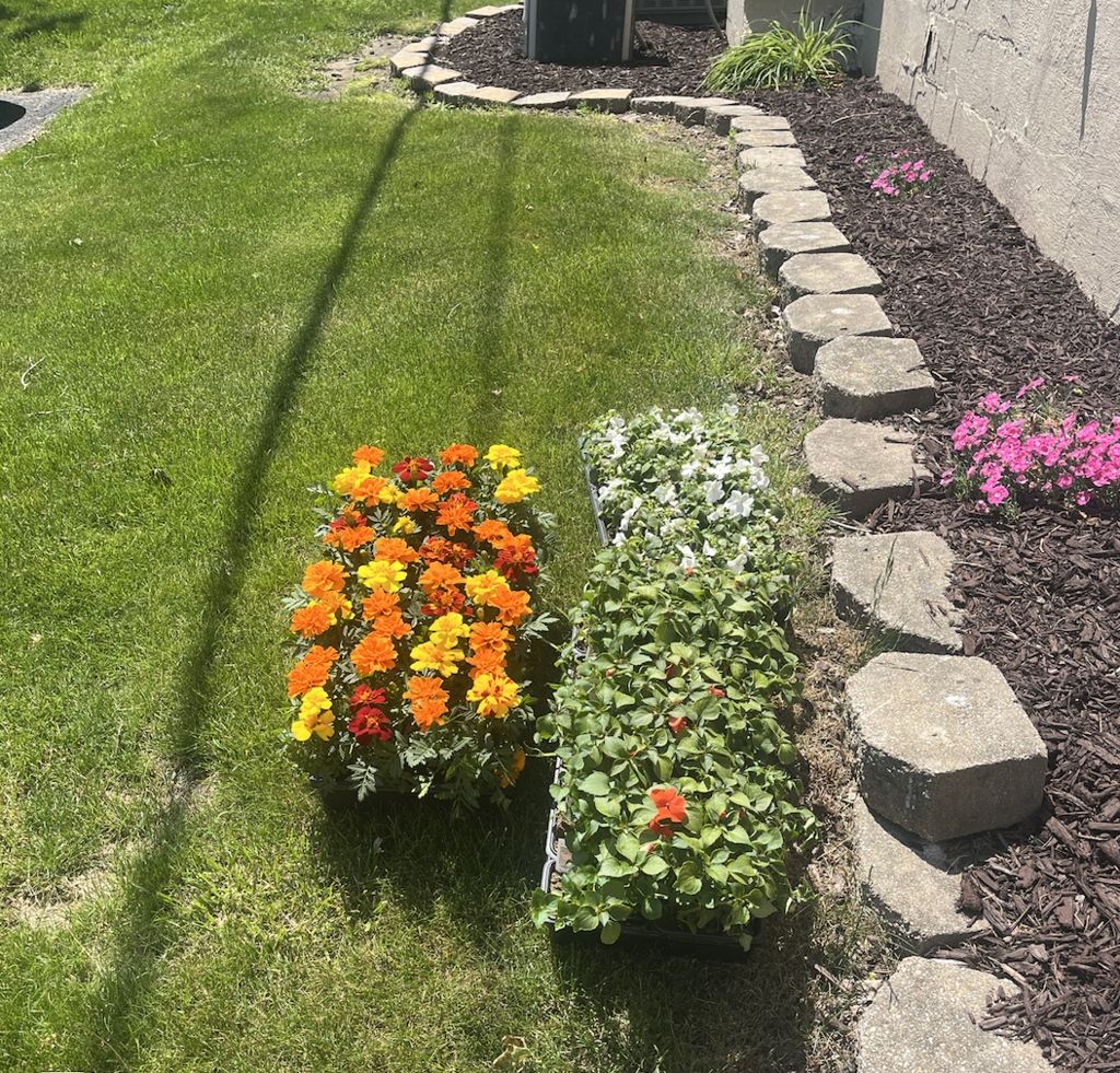 Thank you Dussea Farm & Greenhouse for donating some beautiful flowers for our school grounds!