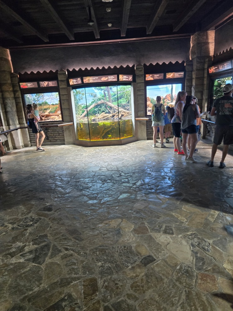 zoo