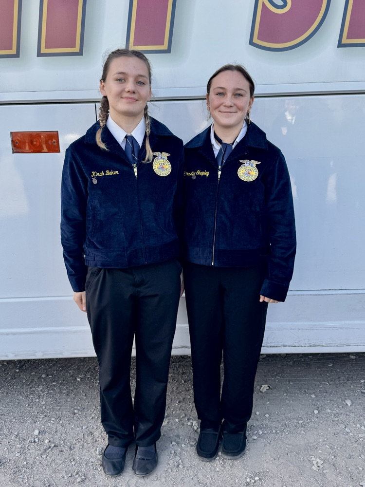 Jr. Division Livestock 