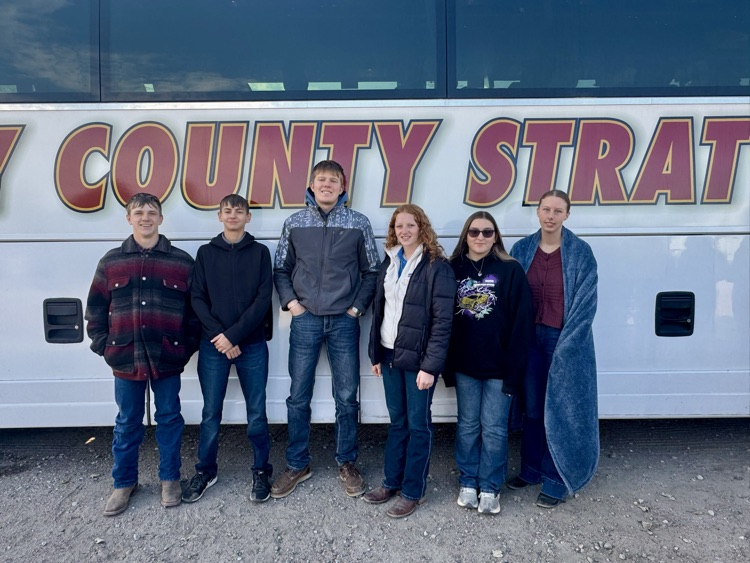 Sr. Division Livestock 