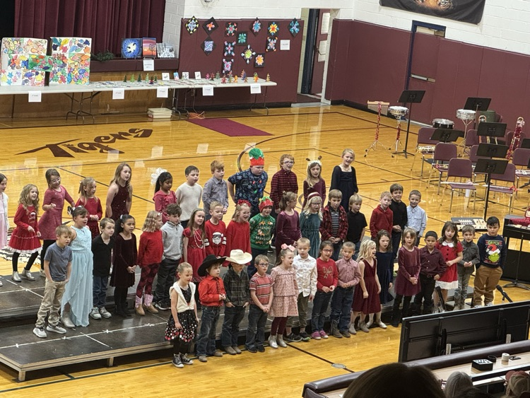 DCS K-12 Music Concert 2025 Great job students!