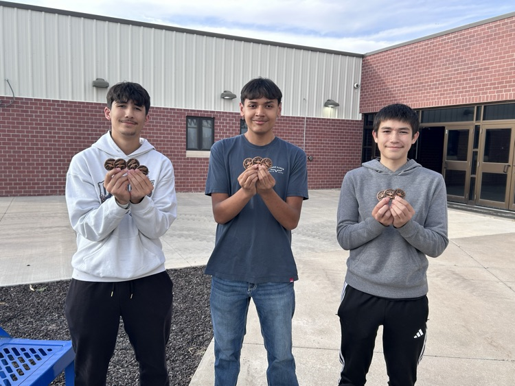 3 boys stand showing off their bronze medals