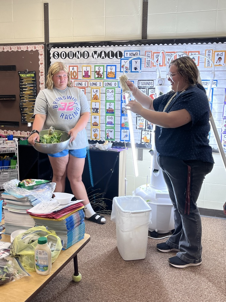 the roots of our lettuce 