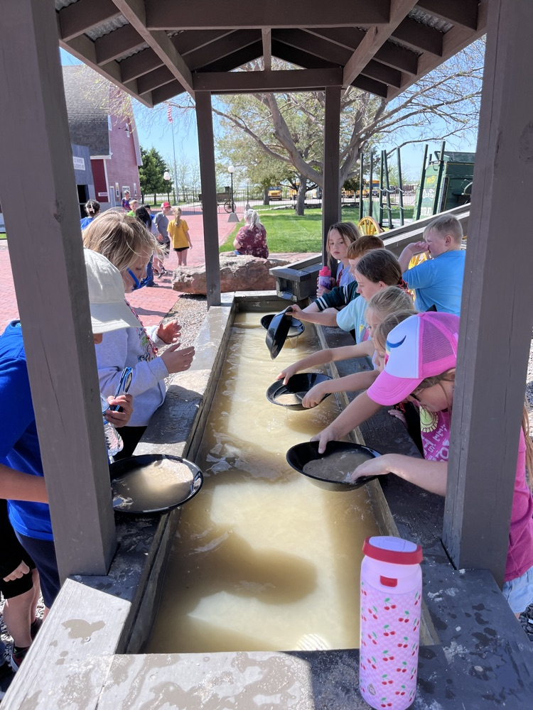 students looking for gold