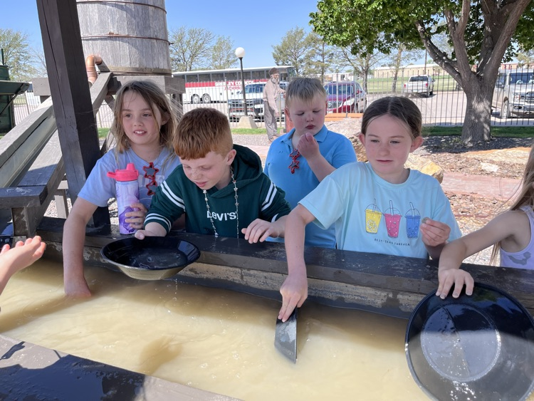 students looking for gold