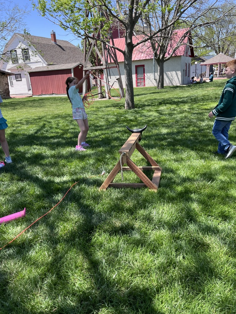 trying to rope a cow