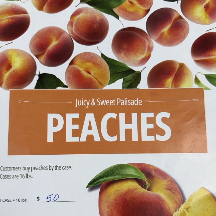 Peach flyer 