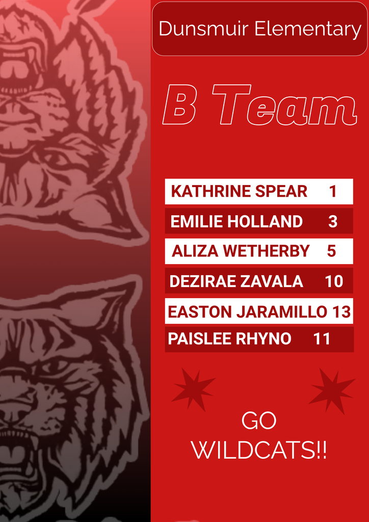Volleyball B team.