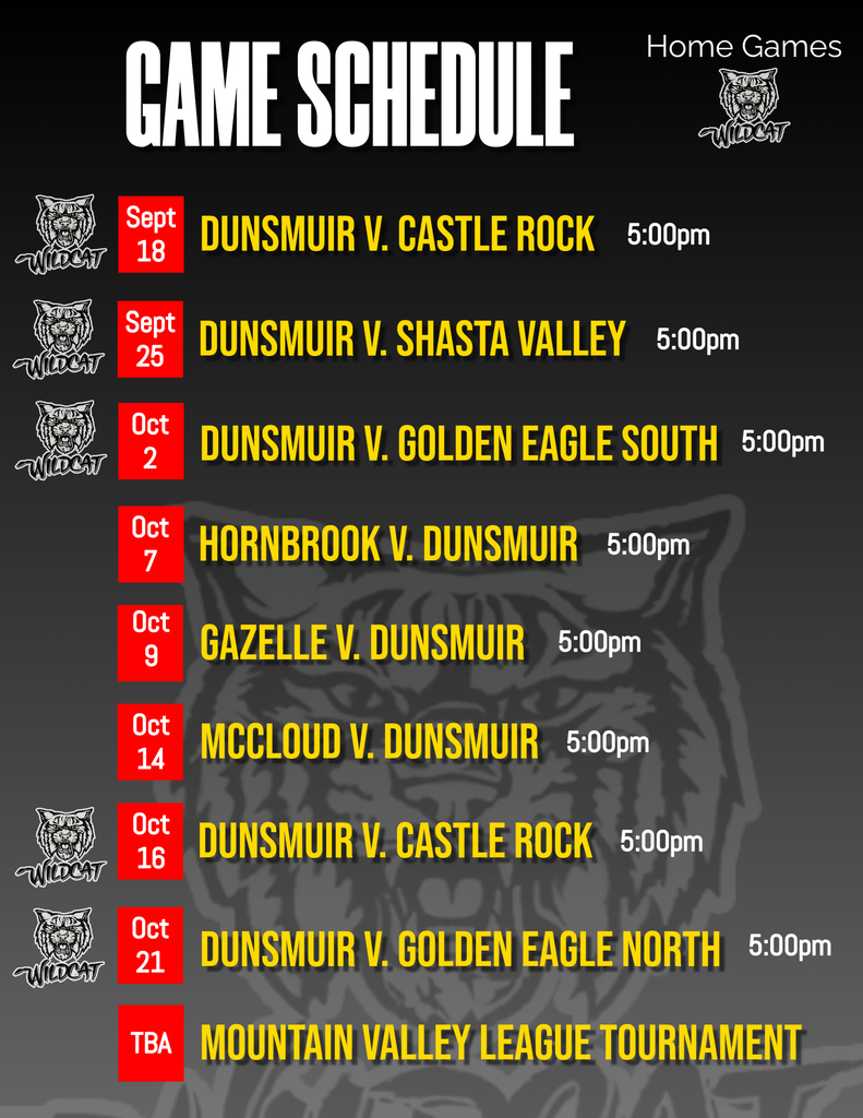 Volleyball schedule for 2025.