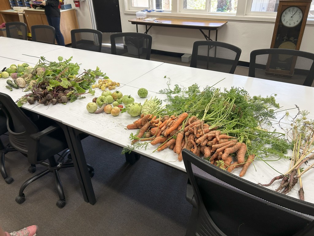 veggies3