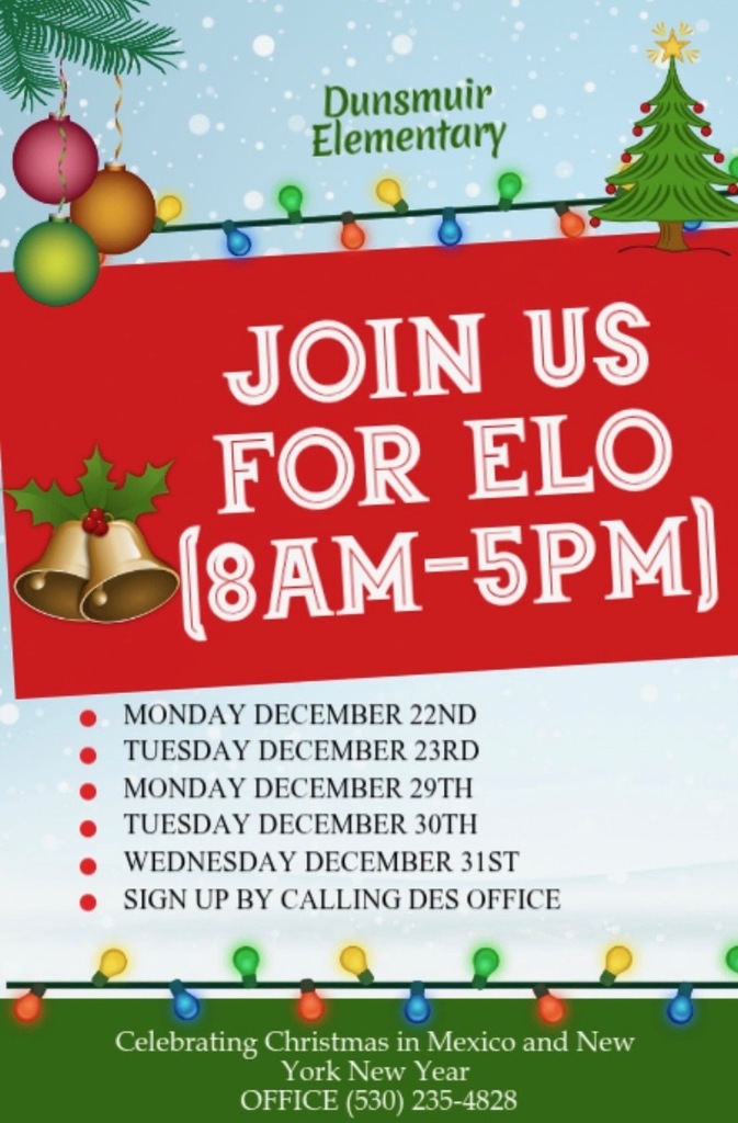 ELO Flyer