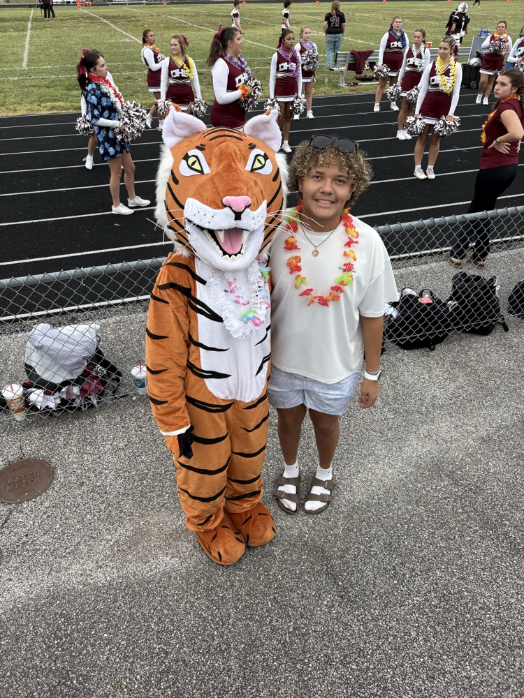 Say hi to the Dupo Tiger!