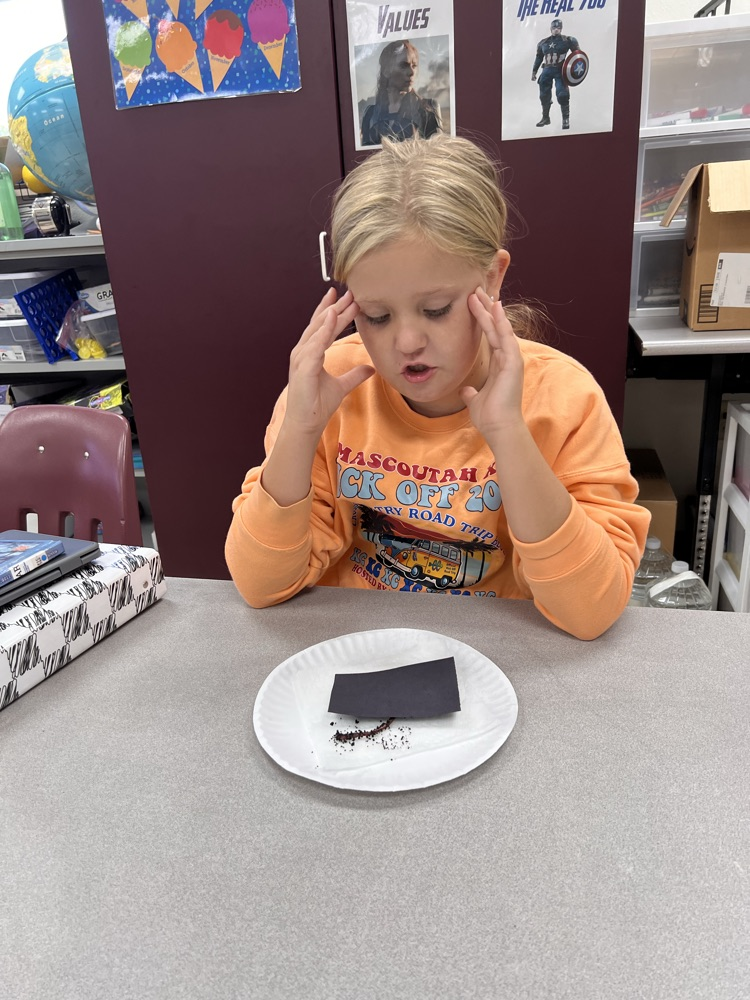 Fun with worms! 