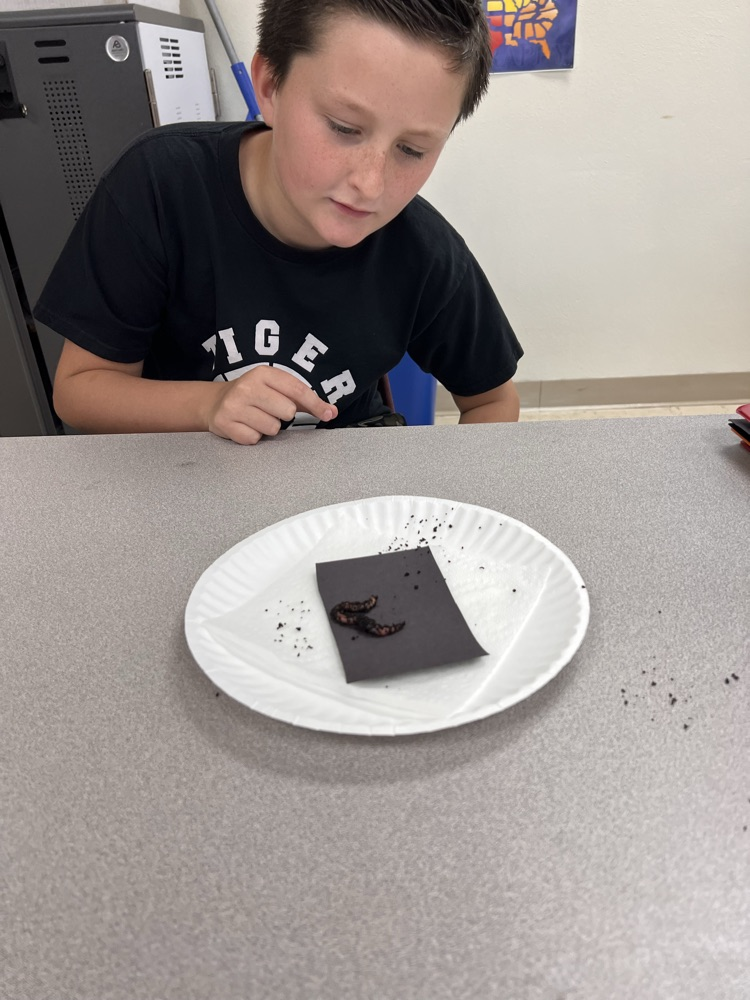 Fun with worms! 
