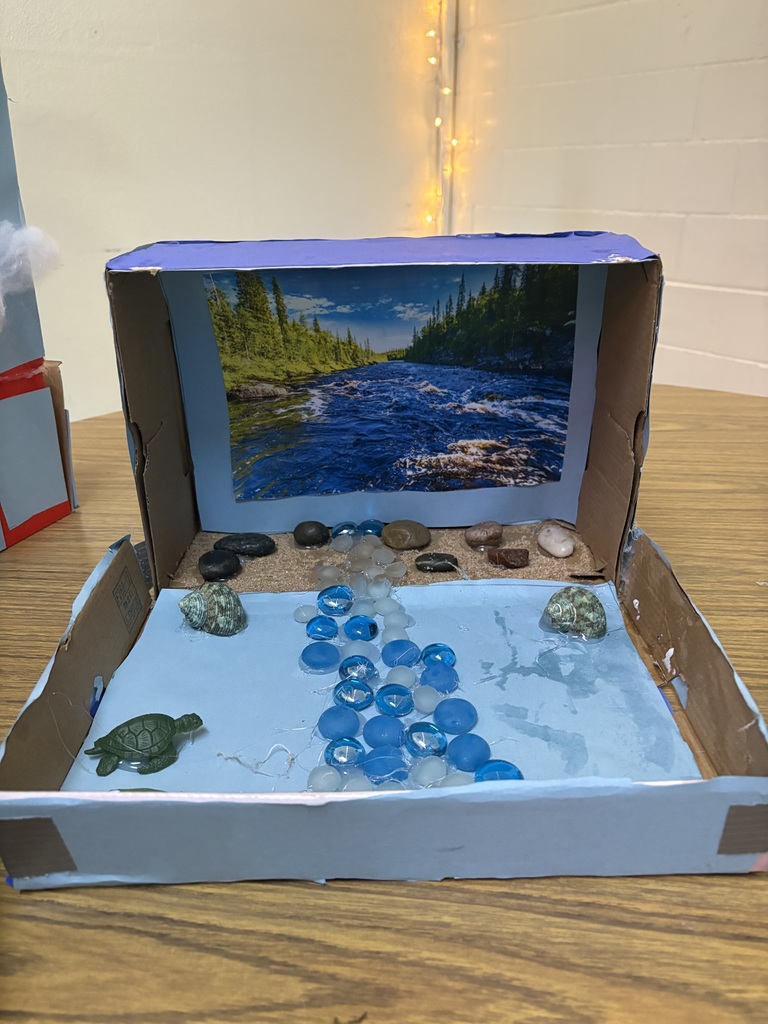 Freshwater Ecosystem Diorama
