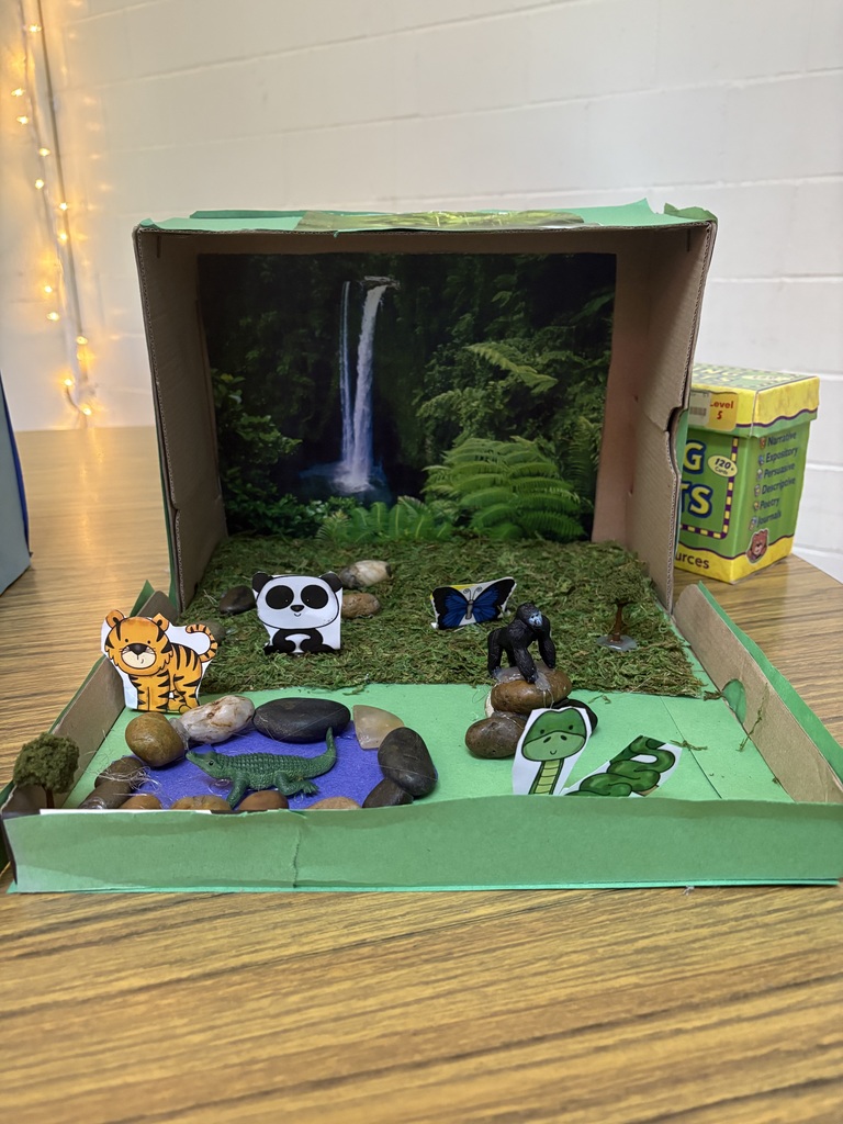 Rainforest Ecosystem Diorama