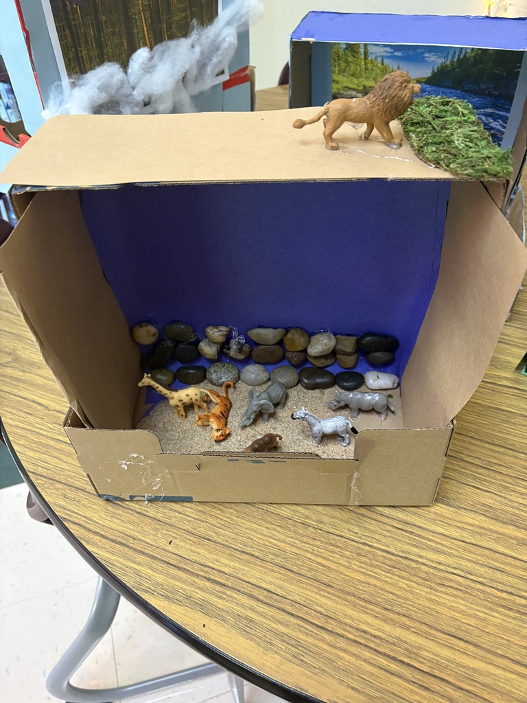 Dessert Ecosystem Diorama