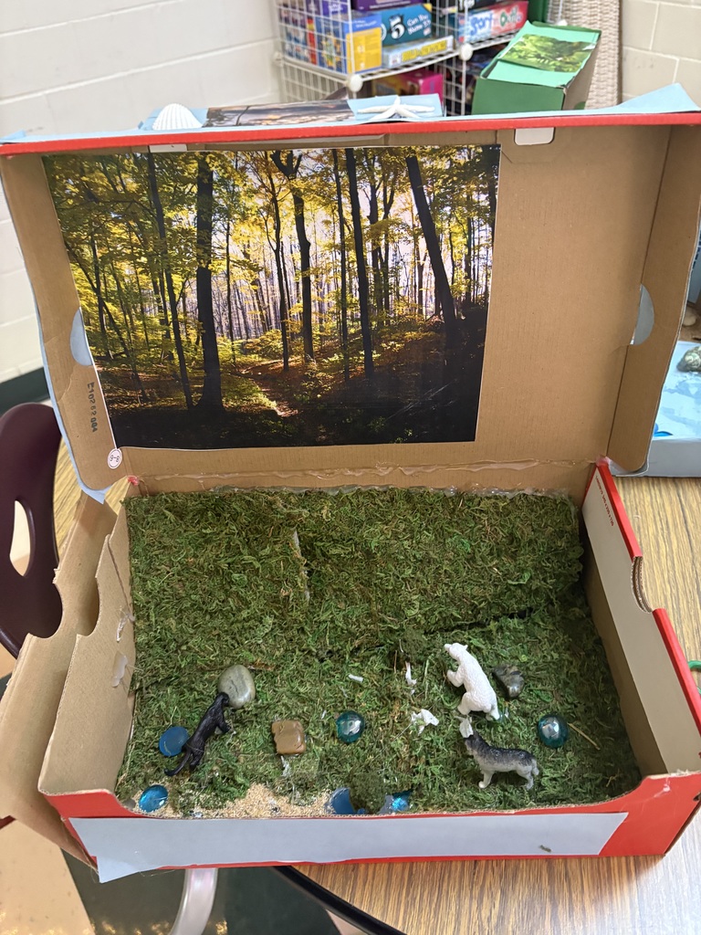 Forest Ecosystem Diorama