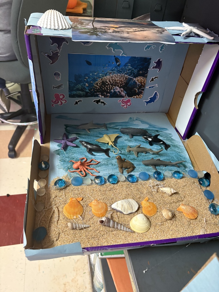Ocean Ecosystem Diorama