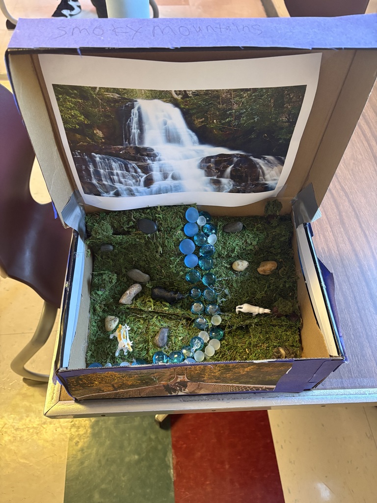 Smoky Mountains Ecosystem Diorama
