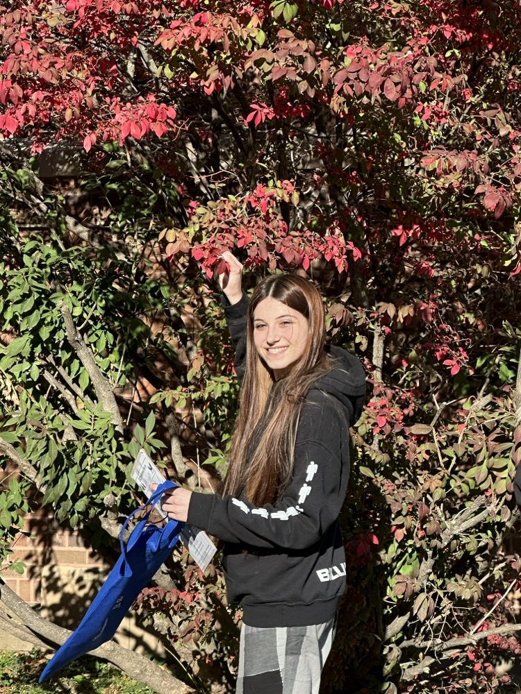 Outdoor Adventure Hunt