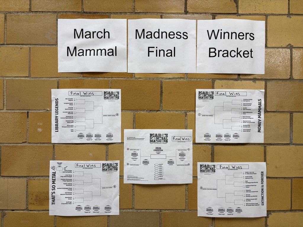 Winners bracket for an animal based tournament 