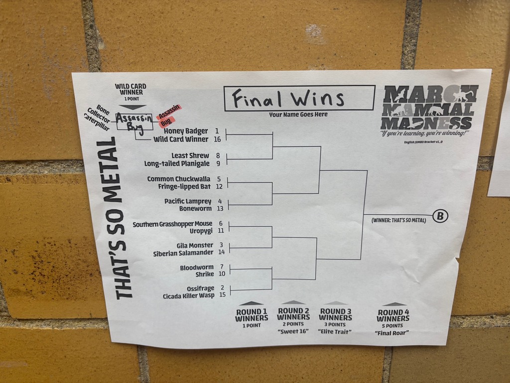 Bracket showing that assassin bug won the wild card round