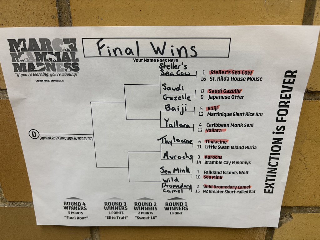 Bracket showing the first round of Extinction is Forever winners