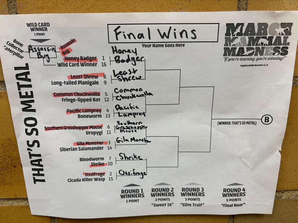 Winners bracket for That's So Metal Round 1