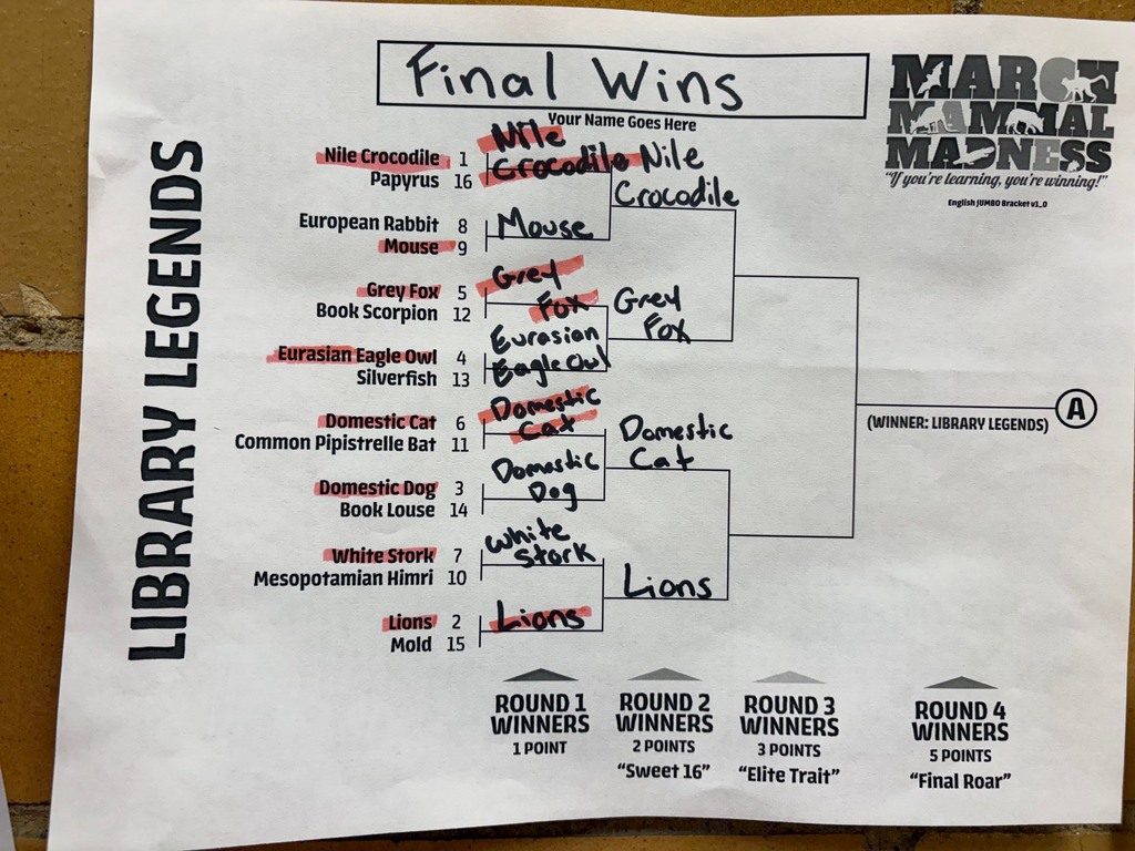 Bracket for Library Legends with the updated winners from round 2. 