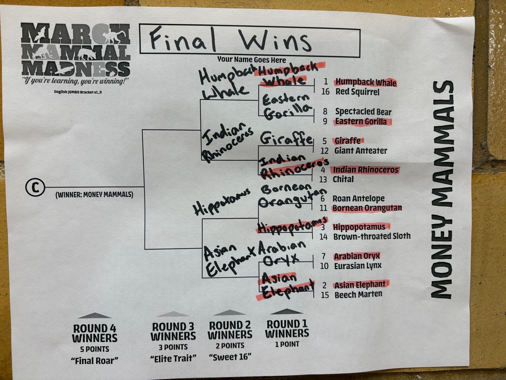 Bracket for Money Mammals with the updated winners from round 2. 